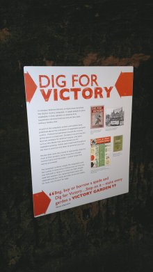 Dig for Victory interpretation panel. This was put together by Bronwen Simpson and Jo Dunn, and fixed to the Air Raid Shelter walls by Andy Pedroza and Katie Senior (photographed by Andy Pedroza)